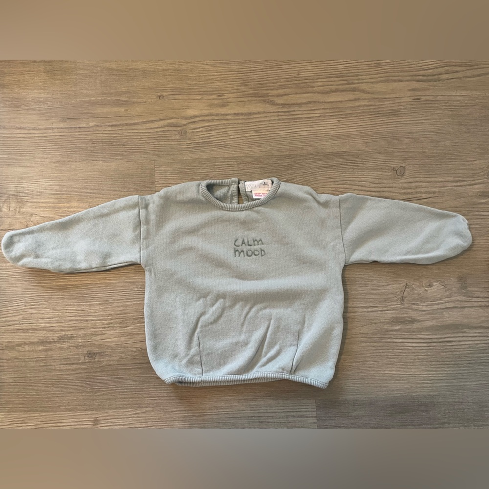 Zara Baby Sweatshirt and Light Gray Knit Top bundle